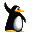 pingouin danse